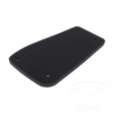 Athena Air Filter