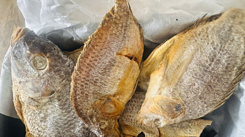 Dried salted fish - fish, koobi