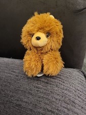 PETOOTIES RUSS POMERANIAN