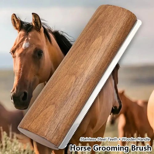 Horse grooming brush shedding - grooming,