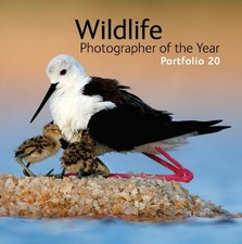 Wildlife Photographer of the Year: Portfolio 20 By Rosamund Kidman Cox