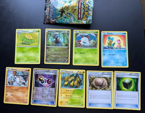 Steam siege cards open - 9,