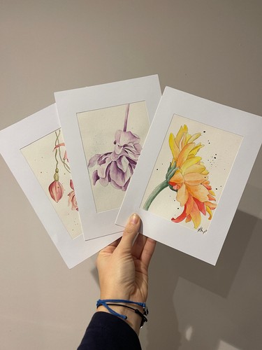 Set original watercolor - set,