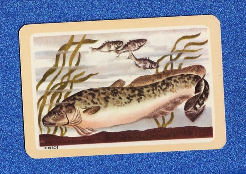 Vintage woolworths fish swap - vintage,