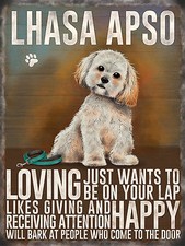 Lhasa apso,  Metal Aluminium