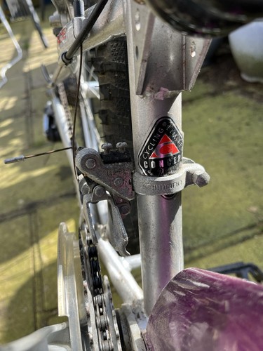 Adult bike with child