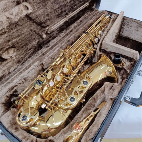 Yanagisawa 900 alto - a-900,