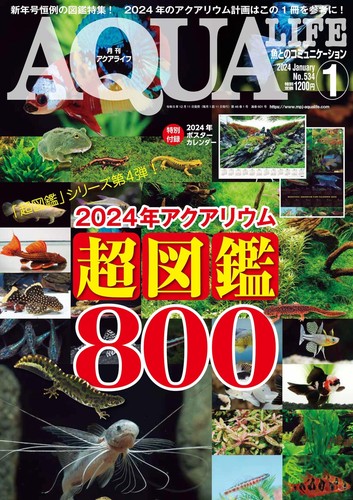 Aqua life january 2024 - january,