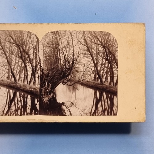Stereoview card c1865 - c1865, real