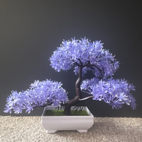 Cool chery blossom tree purple - cool,