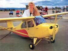 Aeronca Champion Giant Scale