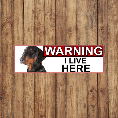 Doberman pinscher warning - doberman, i