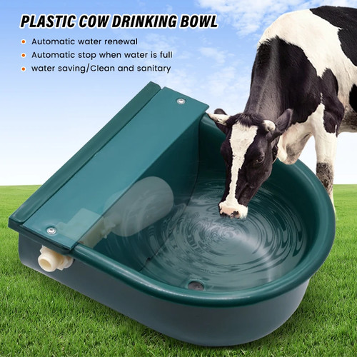 Automatic livestock water bowl - livestock,