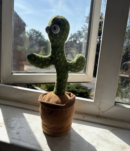 Plants zombies cactus - vs,