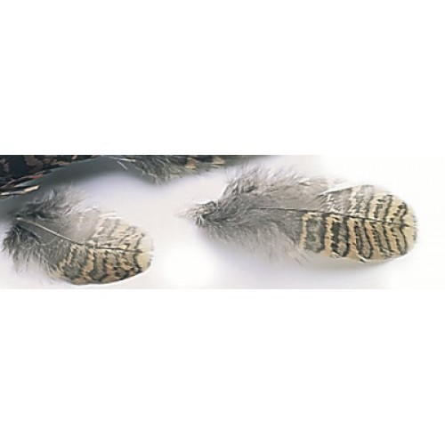 Woodcock fly tying feathers - woodcock,