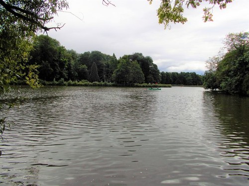 Photo 6x4 highfields - photo,