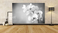 GRAY GREY WHITE ORCHID FLOWERS CANVAS PICTURE WALL ART LARGE 20x30 INCH UK SELLR