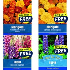 Flower Seeds Plants Baskets