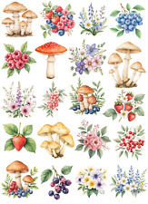 Forest Botanicals, Flowers