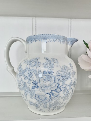 New blue asiatic - blue,