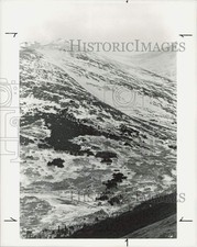 1992 Press Photo Charles