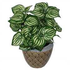 Artificial plant indoor black - plant,