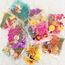 Real Dried Flower For DIY Art Craft Epoxy Resin Pendant Jewellery Making
