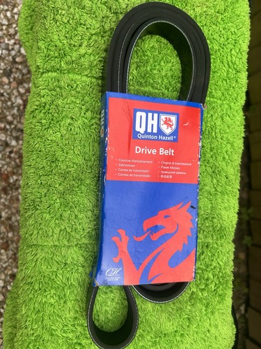 Alternator drive belt for - drive,