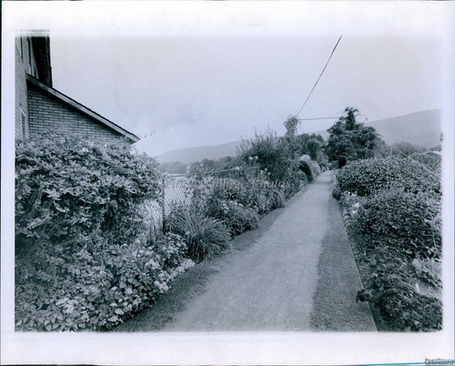 1974 narrow road lined with - narrow,