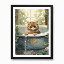 Exotic Shorthair Cat In