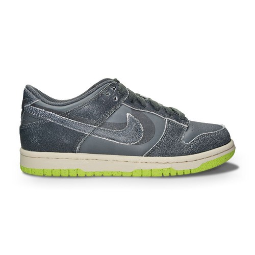 Juniors nike dunk low - juniors,