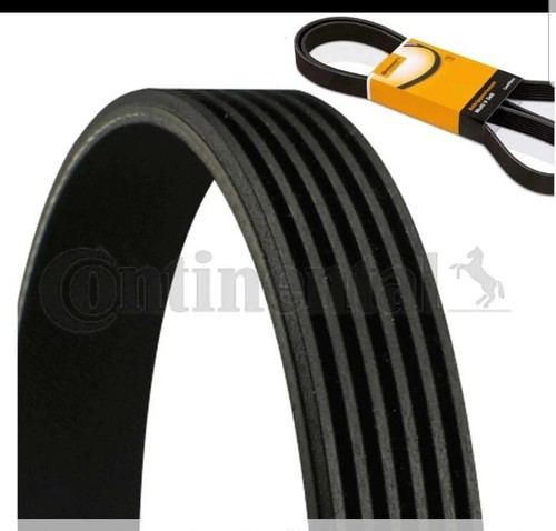 Contitech ribbed belt - contitech, v-ribbed