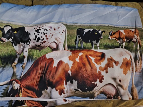 Double duvet pillow - double,