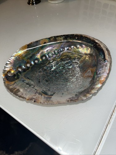 Paua shell sometimes - paua, as