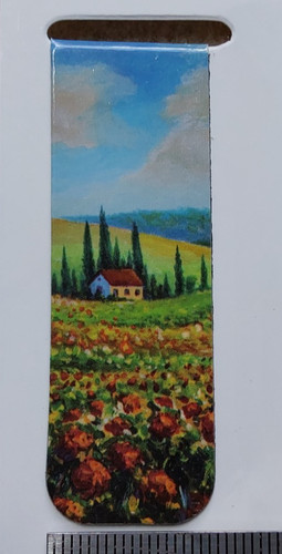 Set beautiful magnetic - 2,