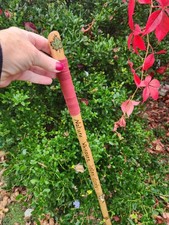 Wooden Staff Walking Stick