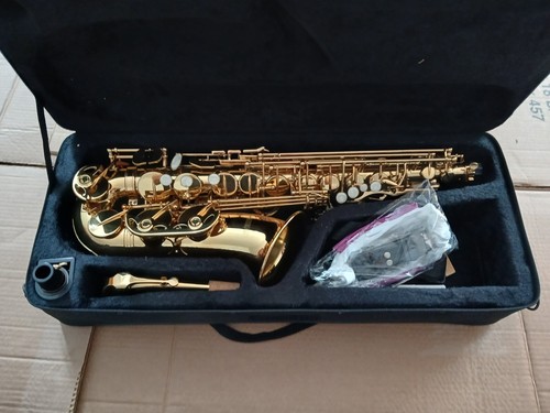 Ammoon saxophone with - with, case
