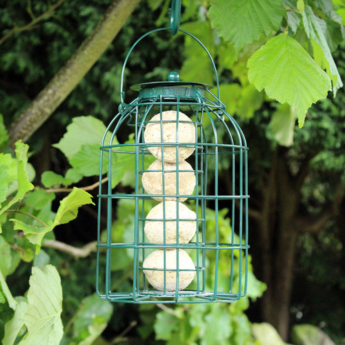 Hanging bird feeders large - hanging,