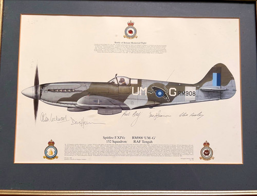 Spitfire xive 125 squadron - f.xive,