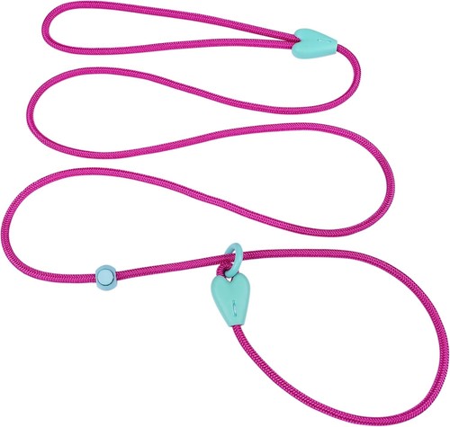 Dog training leash slip - training,