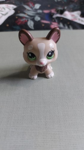 Littlest pet shop corgi - pet,