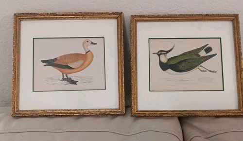 Morris engravings - 2,