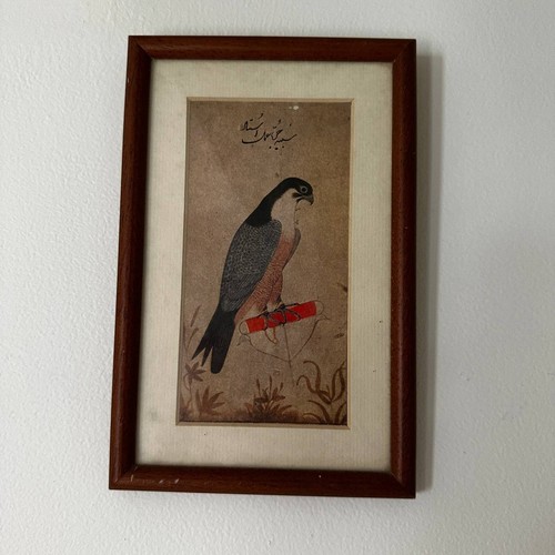 Vintage framed mughal - mughal, falcon