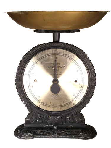 Salter family scales 5kg - scales,