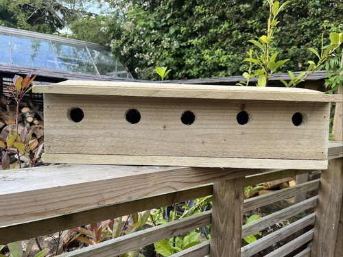 Sparrow nest bird box wooden - bird,
