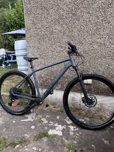 Mountain bike - mountain,