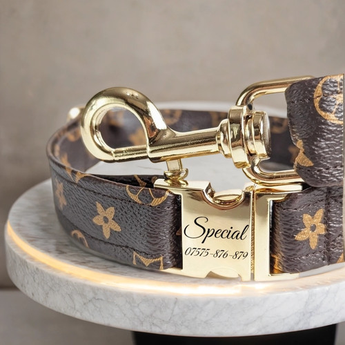 Designer leather dog collar - collar,