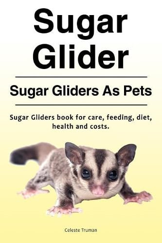 Sugar glider - glider., gliders