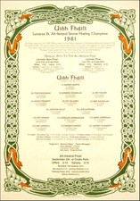 Offaly All-Ireland Senior