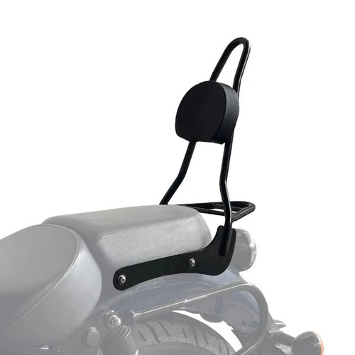 Sissy bar with backrest - with, fit